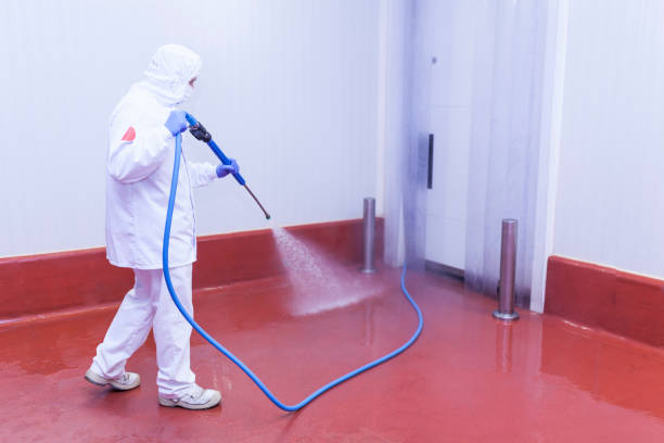 Silver Bay, MN Pressure Washing Services Company