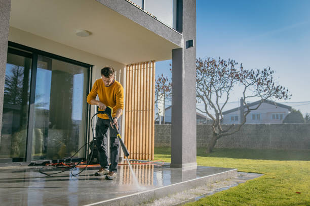 Best Roof Cleaning and Mildew Removal in Silver Bay, MN